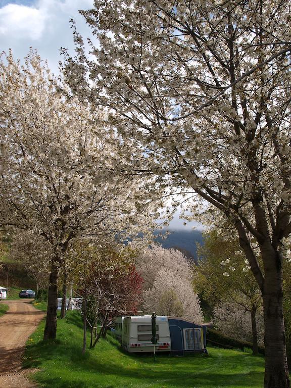 Camping Can Fosses Planoles  Exterior foto