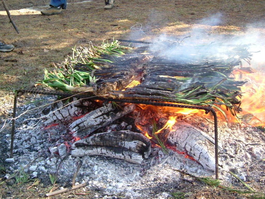 Camping Can Fosses Planoles  Exterior foto